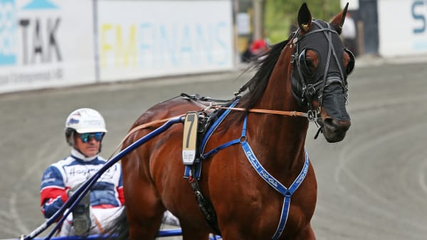 Foto: MATILDA ÖHRMAN / TR BILD