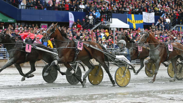 Foto: Maria Holmén/TR Bild