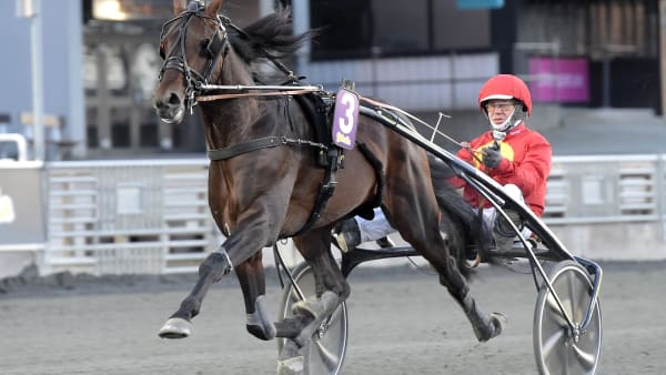 Foto: LARS JAKOBSSON / TR BILD