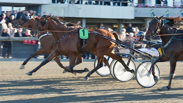 Foto: TOMMY ANDERSSON/ALN