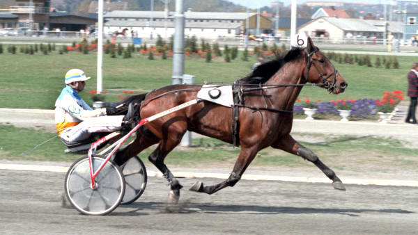 Foto: CLAES KÄRRSTRAND