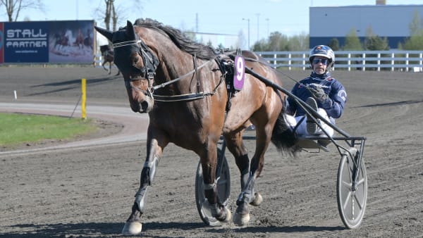 Foto: LARS JAKOBSSON / TR BILD