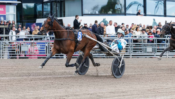 Foto: LENA EMMOTH / TR BILD