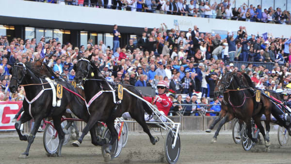 Foto: Simon Hagen/stalltz.se