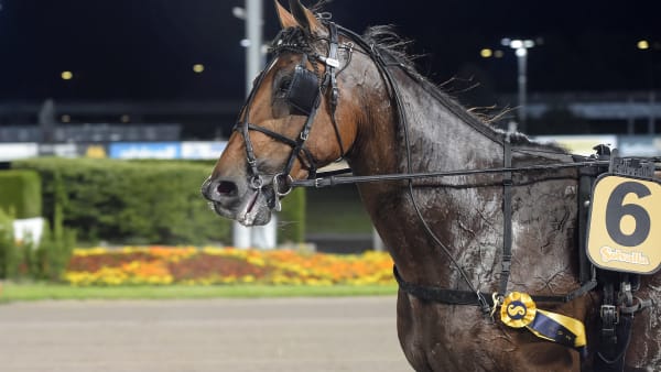 Foto: LARS JAKOBSSON / TR BILD