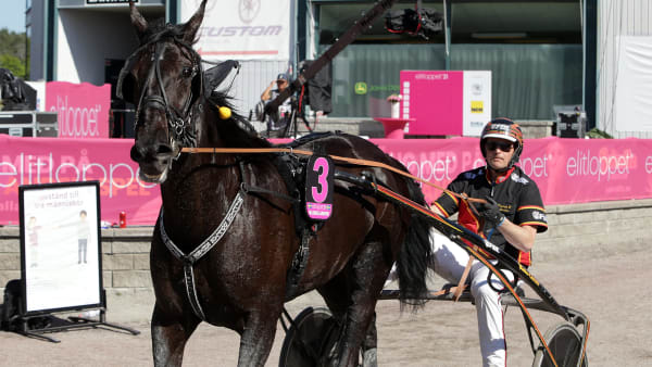 Foto: MATILDA ÖHRMAN / TR BILD