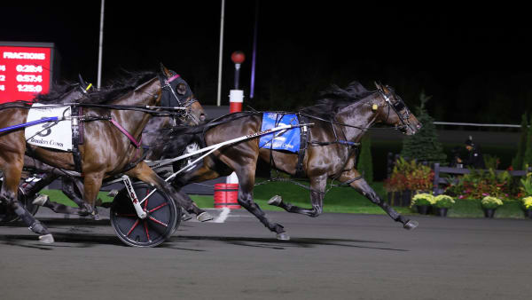 Foto: New Image Media.