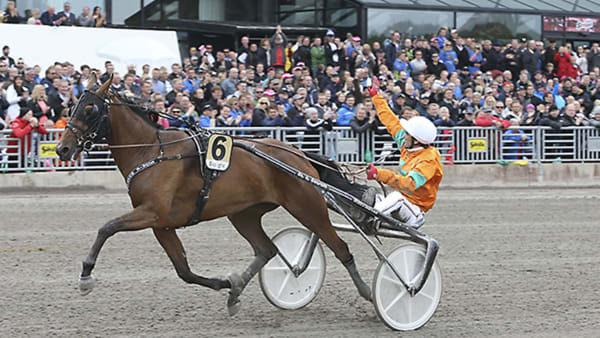 Foto: JEANNIE KARLSSON