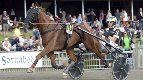 Foto: LARS JAKOBSSON / TR BILD