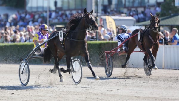 Foto: MARIUS SCHWARZ/TRABERPIXX.DB