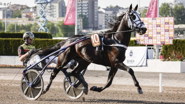 Foto: LENA EMMOTH / TR BILD