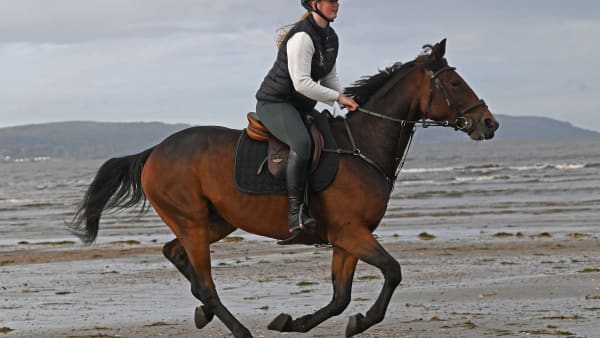 Foto: LARS B PERSSON