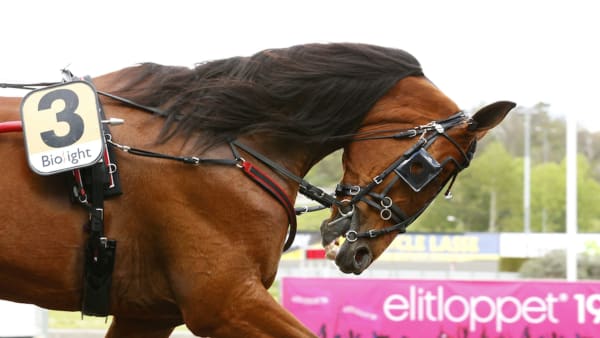 Foto: Maria Holmén/TR BILD