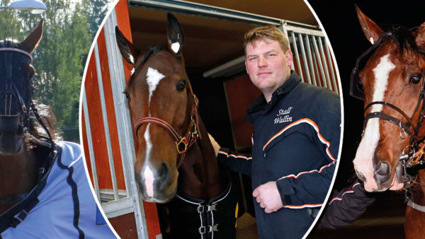 Foto: Girlpower HB/Maria Holmén/Malin Albinsson/TR Bild/Montage