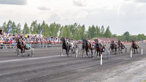 Foto: MIKAEL ROSENQUIST / TR BILD