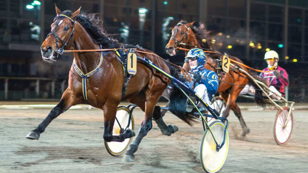 Foto: Mikael Rosenquist/TR Bild