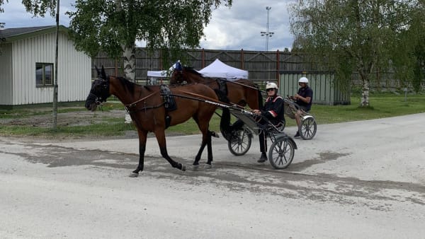 Foto: Östersundstravets Twitter