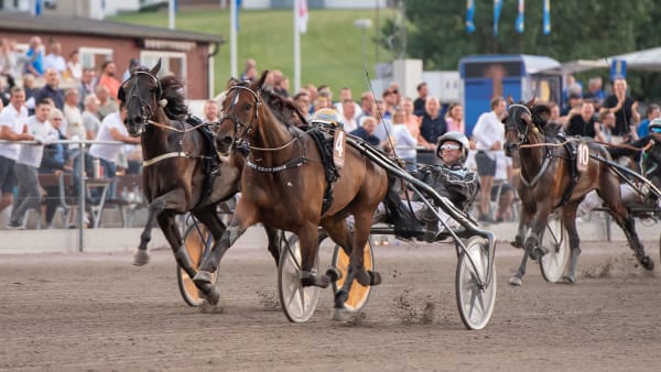 Foto: MIKAEL ROSENQUIST / TR BILD