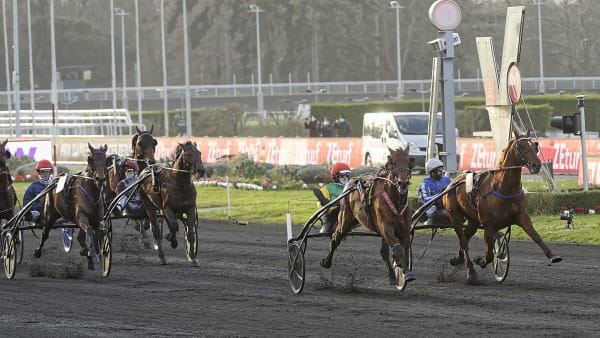 Foto: Jean-Luc LaMaère/LeTrot