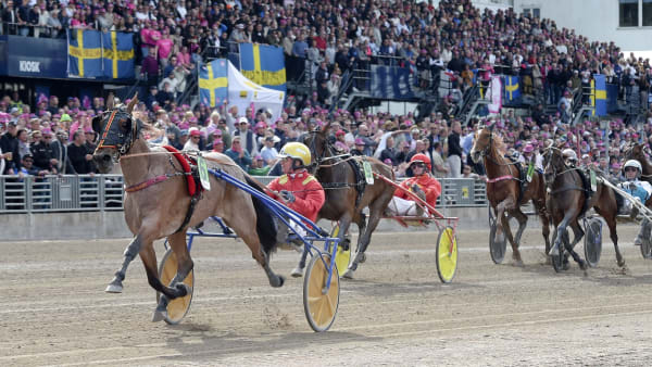 Foto: LARS JAKOBSSON / TR BILD