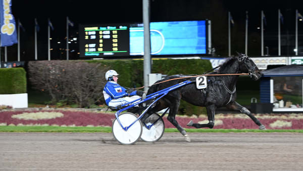 Foto: LARS JAKOBSSON/TR BILD