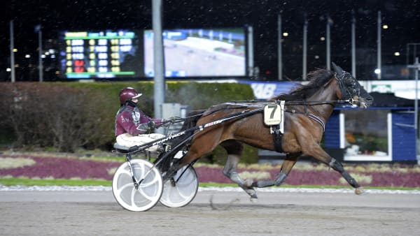 Foto: LARS JAKOBSSON / TR BILD