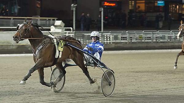 Foto: TOMMY ANDERSSON/ALN