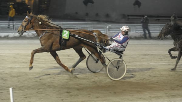 Foto: LEIF NORBERG/ALN