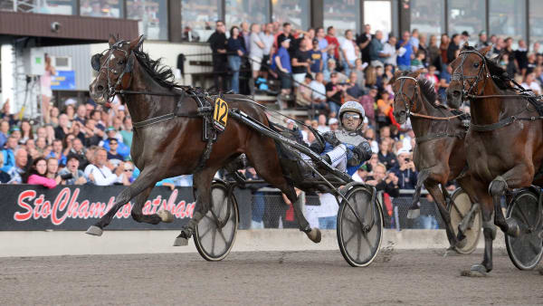 Foto: MALIN ALBINSSON / TR BILD