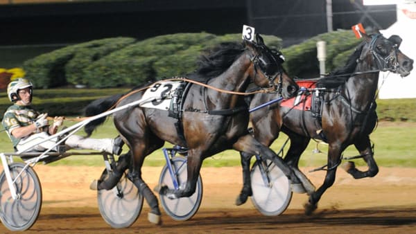 Foto: ADAM STRÖM/STALLTZ.SE