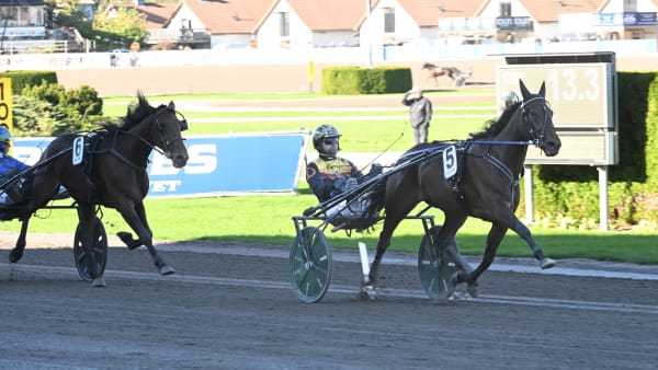 Foto: LARS JAKOBSSON / TR BILD