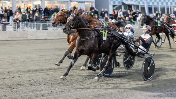 Foto: LENA EMMOTH / TR BILD