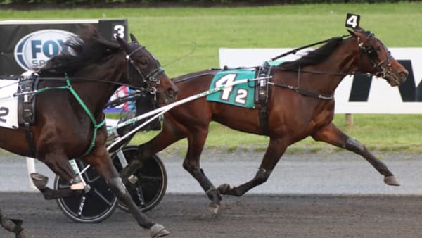 Foto: MICHAEL LISA/LISA PHOTO