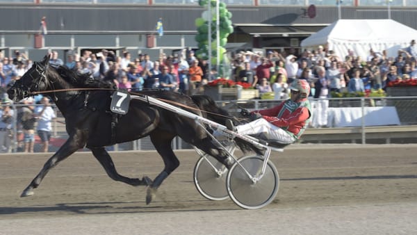 Foto: LARS JAKOBSSON/TR BILD