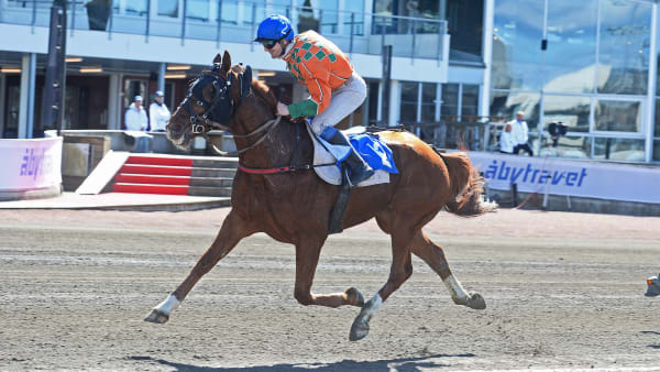 Foto: MALIN ALBINSSON / TR BILD