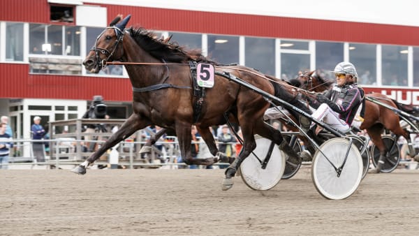 Foto: LENA EMMOTH / TR BILD