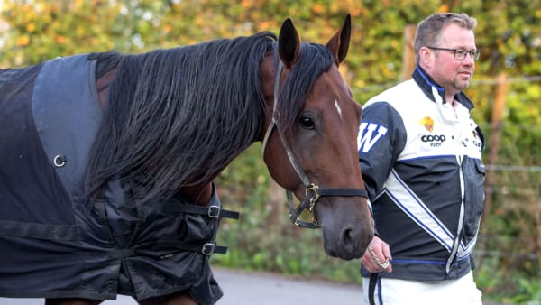 Foto: ANDERS KONGSRUD/HESTEGUIDEN