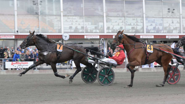 Foto: LARS JAKOBSSON / TR BILD