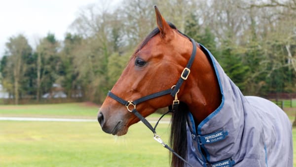 Foto: Matilda Öhrman