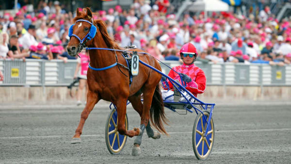 Foto: Micke Gustafsson