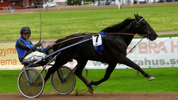 Foto: MICKE GUSTAFSSON/ALN