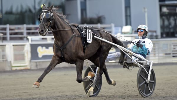 Foto: LARS JAKOBSSON / TR BILD