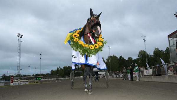 Foto: LARS JAKOBSSON/TR BILD