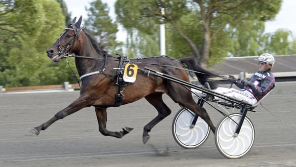 Foto: LARS JAKOBSSON / TR BILD