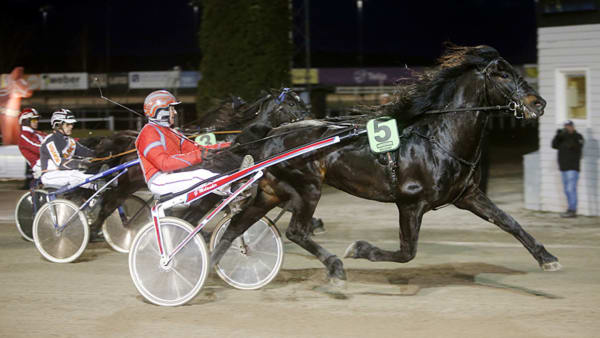 Foto: MICKE GUSTAFSSON/ALN