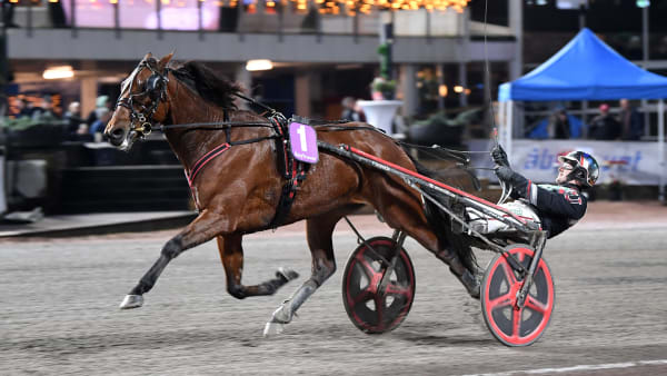 Foto: MALIN ALBINSSON / TR BILD