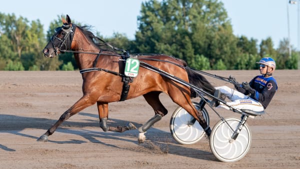 Foto: MIKAEL ROSENQUIST / TR BILD