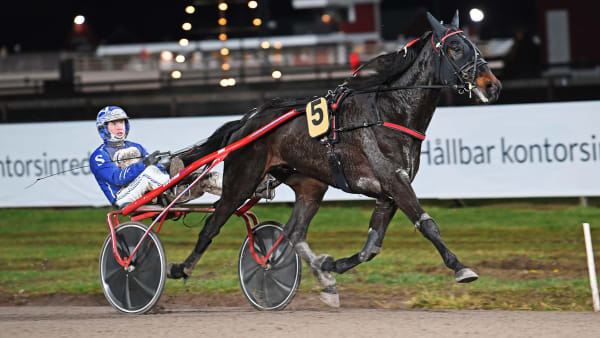 Foto: MALIN ALBINSSON / TR BILD