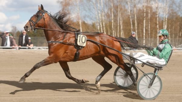 Foto: MICKE GUSTAFSSON/ALN