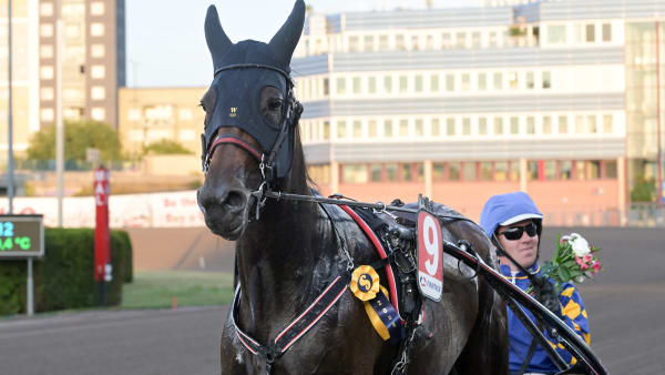 Foto: LARS JAKOBSSON / TR BILD